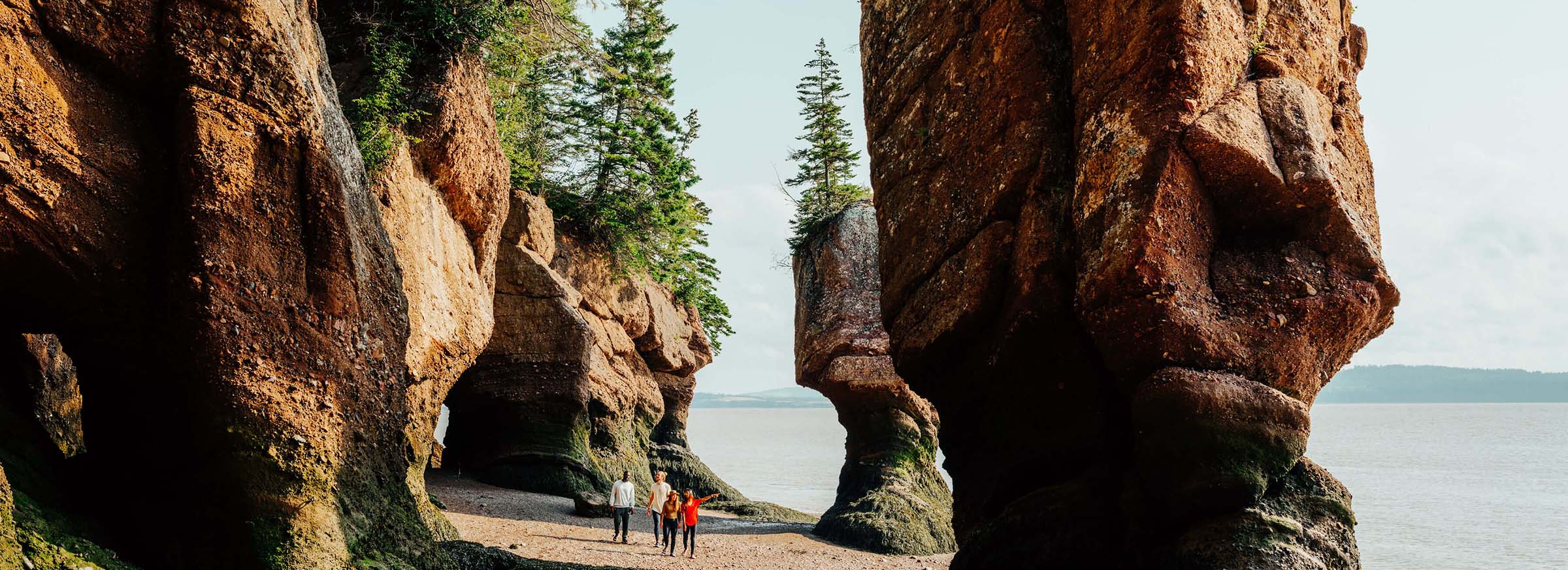 Family walking amongst treed coastal rock formations.